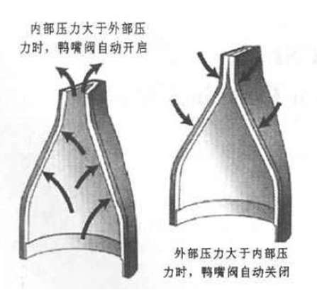 橡膠止回閥結(jié)構(gòu)圖